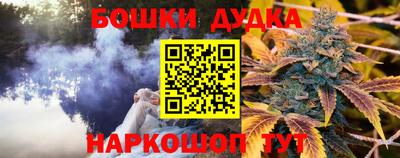 гидра Свободный