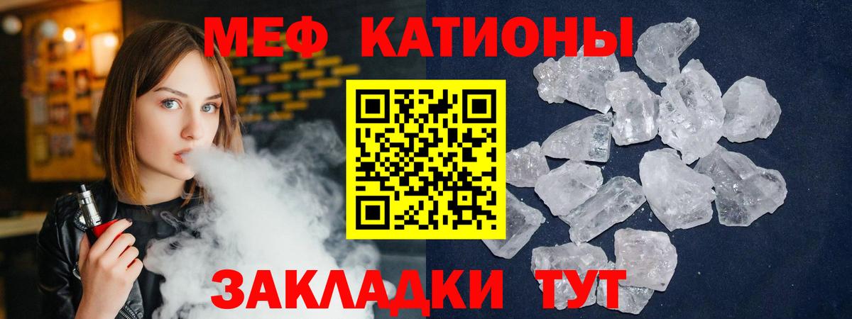 Новороссийск  МЕФ  МЕФ  Вход с VPN  МЯУ-МЯУ мяу мяу 