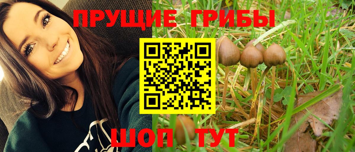 Галлюциногенные грибы ЛСД Новороссийск